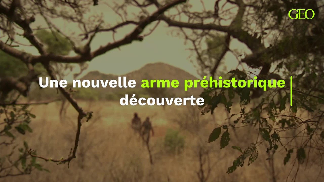 La découverte d'une arme ancestrale nous dévoile des informations sur les premiers hommes
