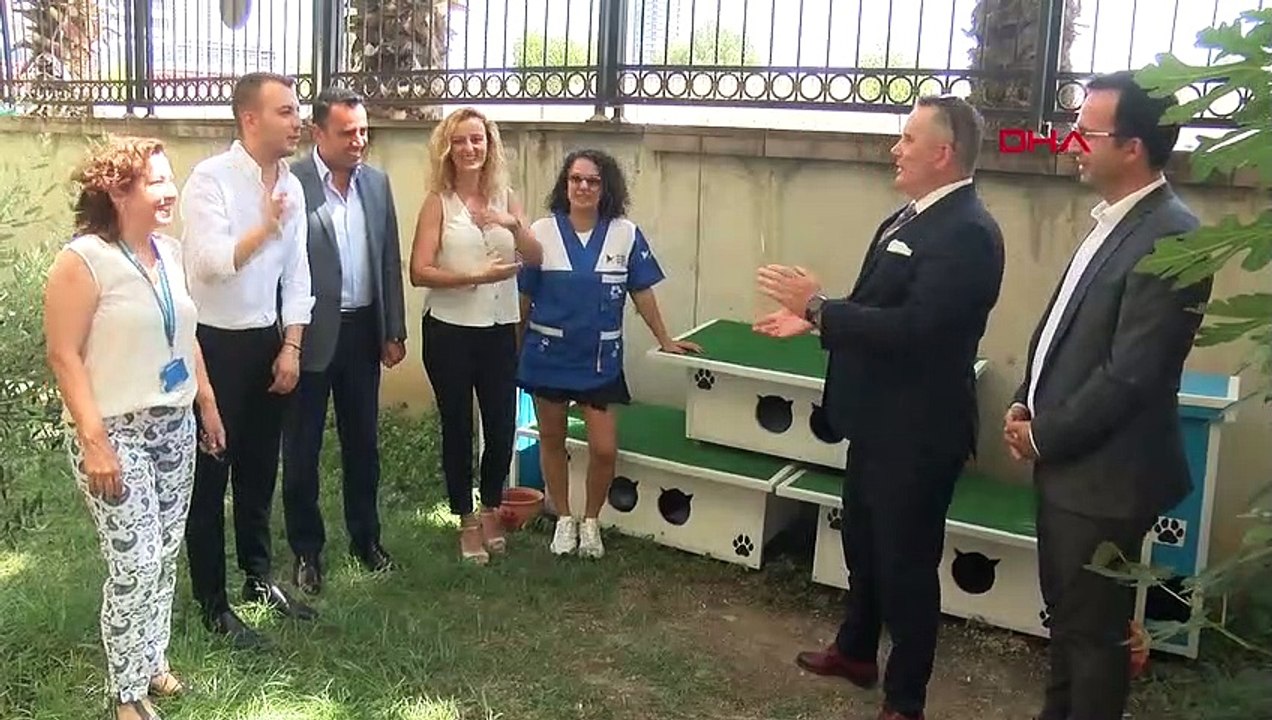 Maisons de chat pour chats errants construites au palais de justice d'Izmir