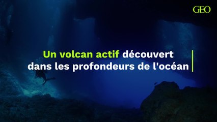 Les profondeurs du Pacifique abritent un volcan actif