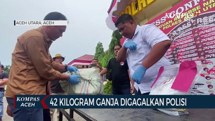 Polisi Gagalkan Peredaran 42 Kg Ganja ke Bali