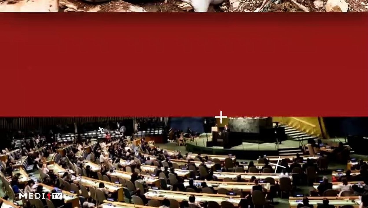 Le paradoxe du Caire - 21/07/2023