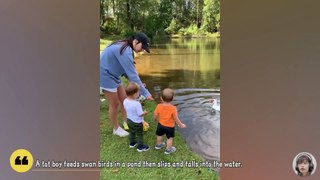 Funny Goose Chasing Babies Compilation __ Just Funniest-(1080p)