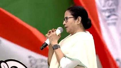 বিজেপিকে আর সহ্য করা যাচ্ছে না, রাজনৈতিকভাবে দেশ থেকে তাড়ানো উচিত: মমতা