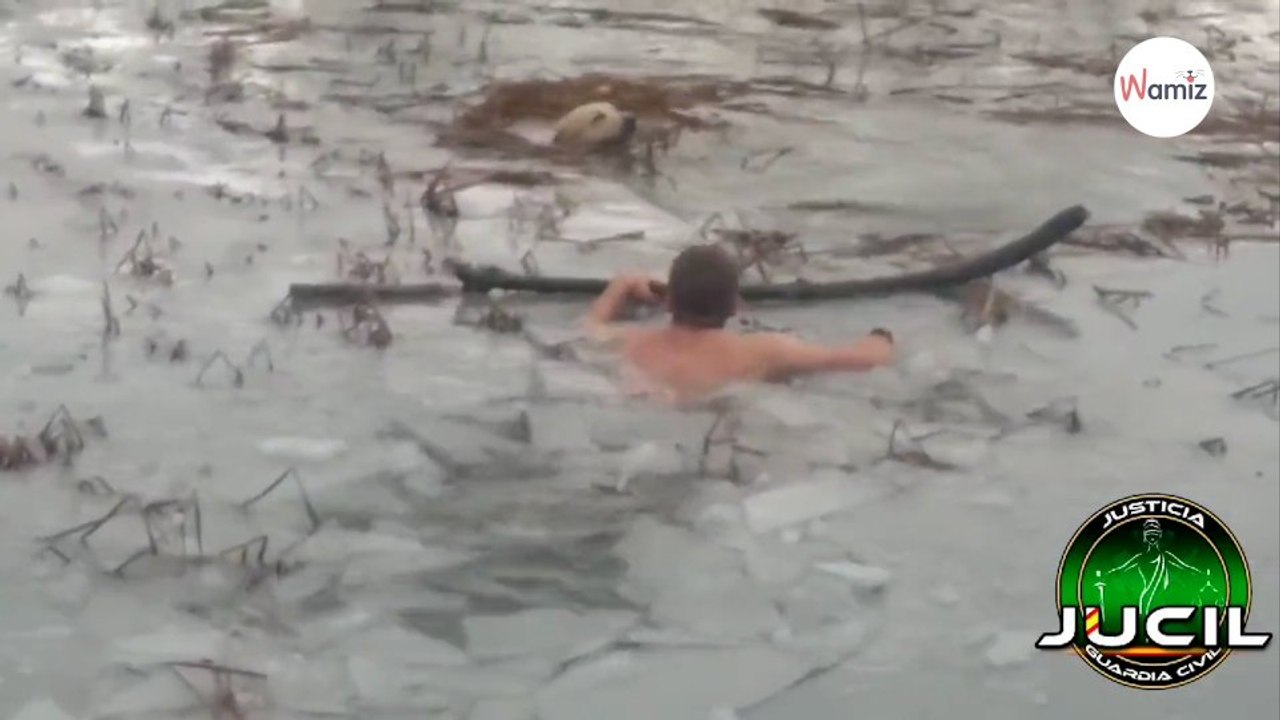 Watch Civil Guard agents jump into the water to save a dog trapped in