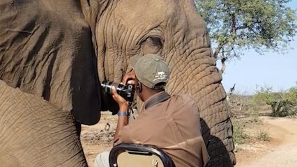 Incredible Moment Giant Elephant Comes Within Inches Of Tracker | Wild-ish TV