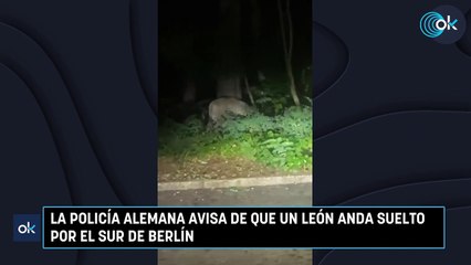 La policía alemana avisa de que un león anda suelto por el sur de Berlín