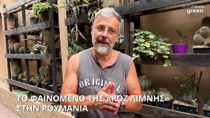 Περιβάλλον: Το φαινόμενο της «Ροζ Λίμνης» εμφανίστηκε στην Ρουμανία