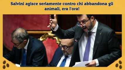 Salvini agisce seriamente contro chi abbandona gli animali, era l'ora!
