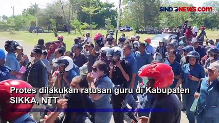 300 Guru di Sikka Demo, Dipicu Dugaan Ada Oknum Sunat Dana Sertifikasi