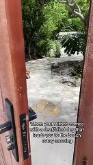 Ilhas Turcos e Caicos, Soldier