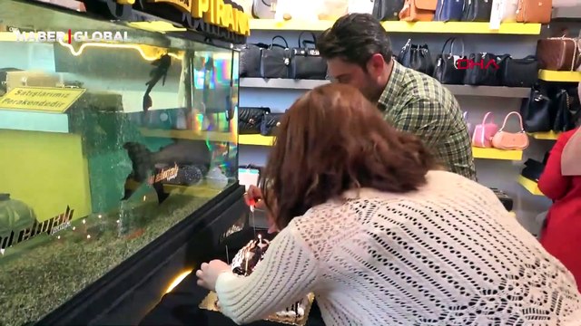 36 yaşına bastı... Erzurum'da Dadaş Pirana'ya yaş pastalı ve cağ kebaplı doğum günü kutlaması