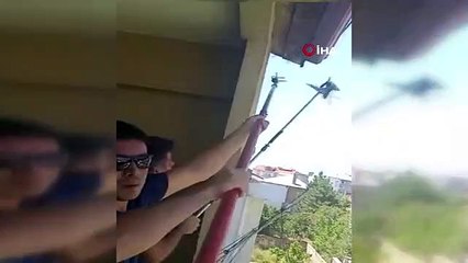 Les pompiers ont secouru l'hirondelle coincée sur le toit