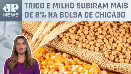 Kellen Severo: Guerra entre Rússia e Ucrânia volta a elevar preços de produtos agrícolas