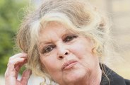 Brigitte Bardot sous surveillance médicale pour problèmes respiratoires