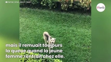 Elle fait une rencontre marquante en 2018 : 6 ans plus tard, le destin frappe à nouveau (vidéo)