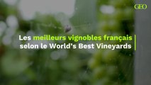 Les meilleurs vignobles français selon le World’s Best Vineyards