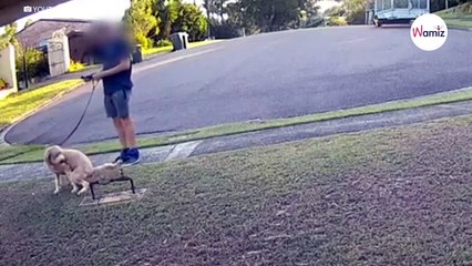 Il sort le sac à caca et se baisse pour ramasser les crottes de son toutou... personne n'imaginait la suite (vidéo)