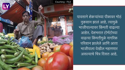 Vegetables Rates: राज्यात पावसामुळे पिकांचे दर वाढणार, टोमॅटोप्रमाणेच इतर भाज्यादेखील महाग