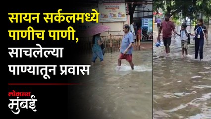 Download Video: मुसळधार पावसामुळे सायन सर्कलमध्ये साचलं पाणी