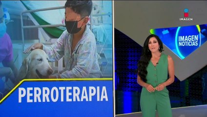 Perroterapia, un éxito en hospitales pediátricos de la CDMX