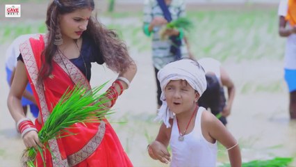 #Video _ उठतै कमर में दरद नही धान रोपहो जी _ #Ansh Babu का रोपनी गीत _ #Anjali Bharti _ #Maghi Song-(1080p)