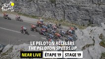 The peloton speeds up - Stage 19 - Tour de France 2023