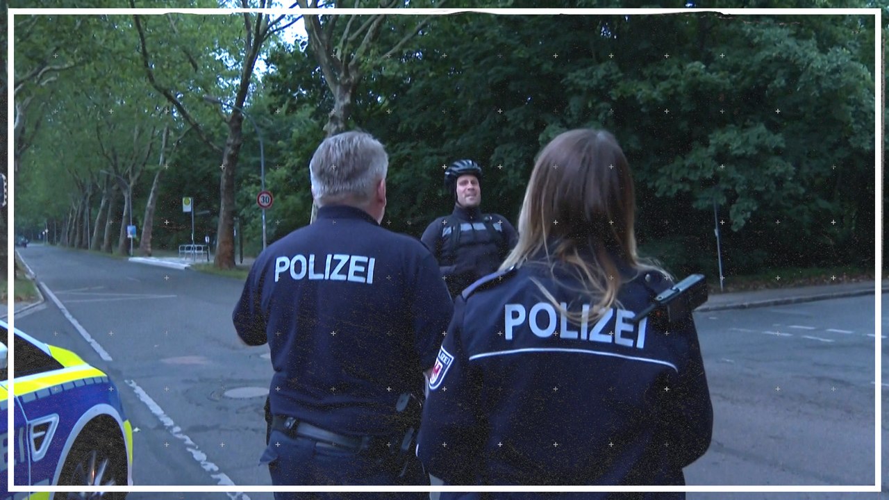 Vermeintliche Raubkatze im Raum Berlin war wohl ein Schwein