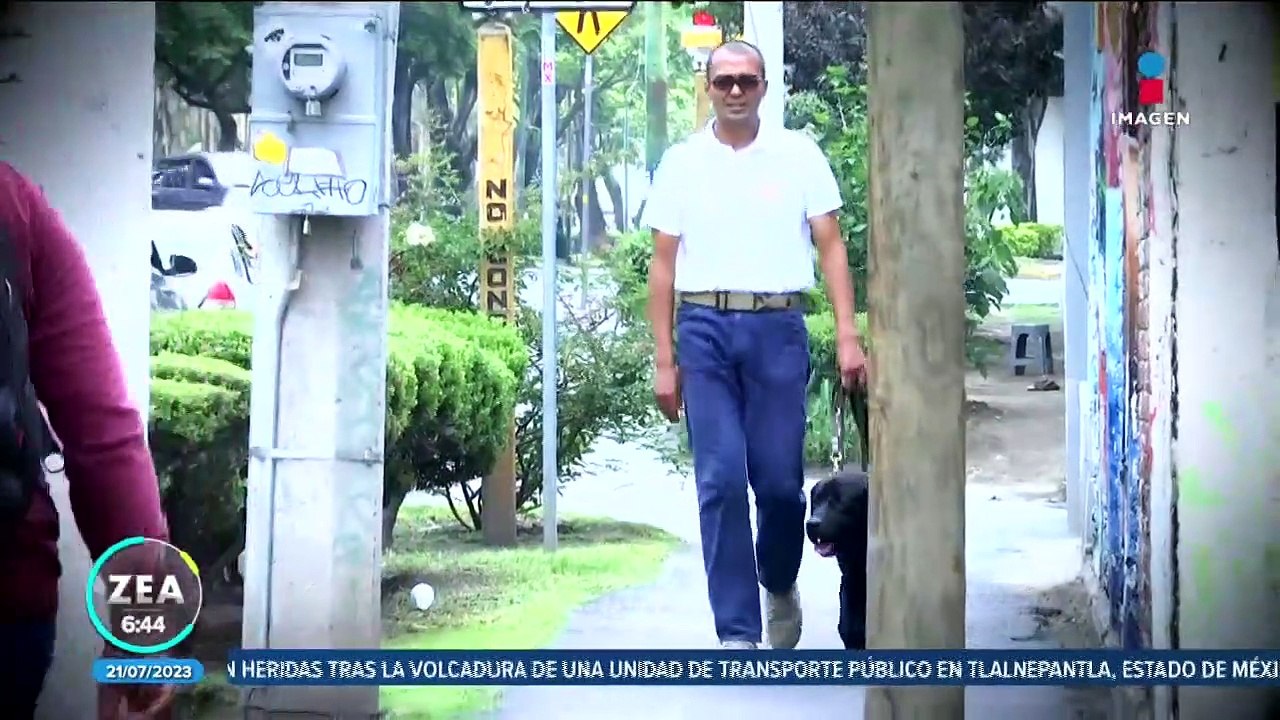 Perros guía, los ojos de personas con discapacidad visual