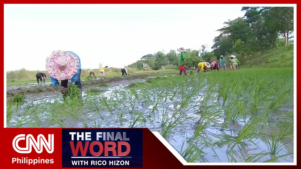 PH, Vietnam agree to boost cooperation in rice production