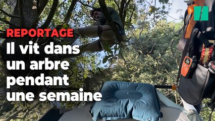 Ce YouTubeur a passé une semaine dans un arbre, mais ça ne s’est pas passé comme prévu