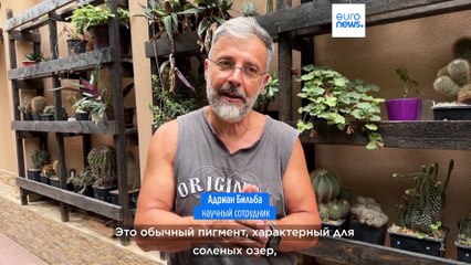 Как озеро Текиргиол стало розовым