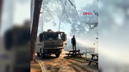 295 incendies de forêt se sont déclarés en 20 jours ; 3 mille 160 hectares de terres ont été endommagés