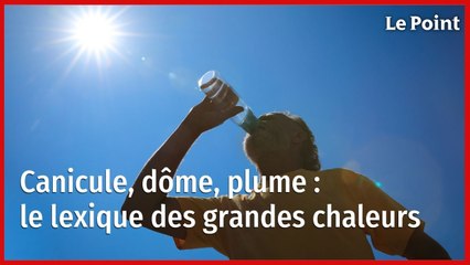 Canicule, dôme, plume : le lexique des grandes chaleurs