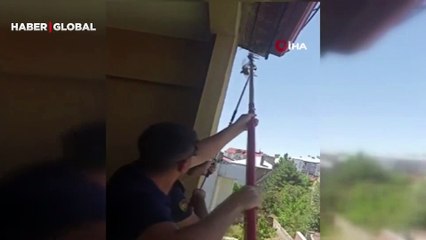 Çatıda mahsur kalan kırlangıcın kurtarılma anı amatör kameraya yansıdı