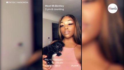 Cette maîtresse a un coup de blues  son petit chien va avoir une réaction touchante (vidéo)