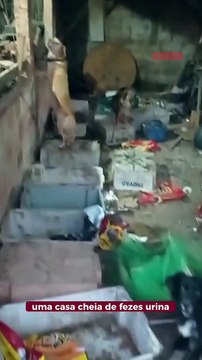 Idosa de Penha vive em situação precária com mais de 30 cães