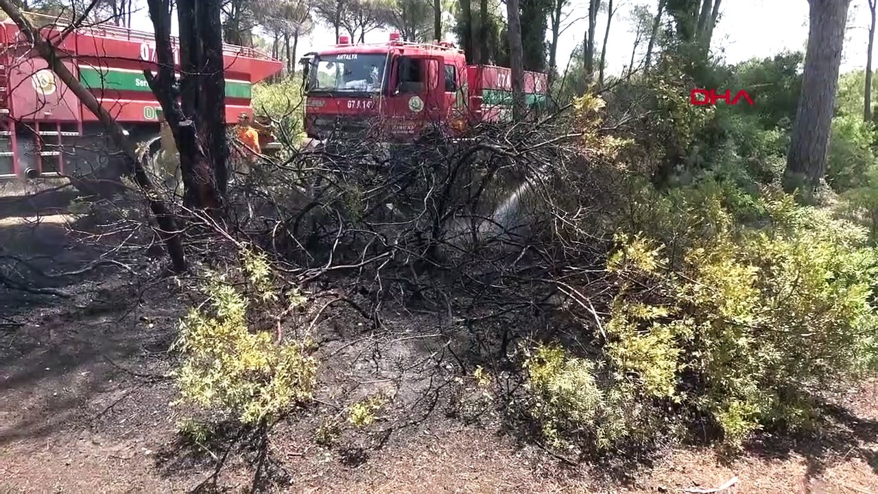Feu de forêt éteint en peu de temps à Antalya