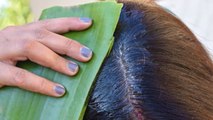 Hair Fall में Aloe Vera Gel कैसे लगाएं | झड़ते बालों पर एलोवेरा जेल लगाने का सही तरीका |Boldsky