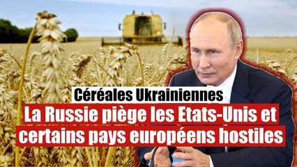 Céréales ukrainienne : La Russie fait payer le prix fort aux pays occidentaux