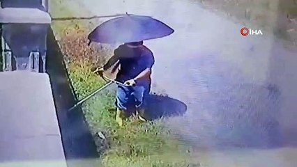 C'est ainsi qu'ils ont été protégés de la chaleur étouffante