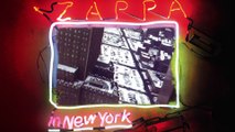 Frank Zappa - Honey, Don't You Want A Man Like Me? (Zappa In New York / Visualizer)
