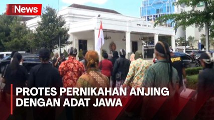 Pernikahan Anjing dengan Adat Jawa Viral, Penggiat Budaya Datangi DPRD DIY