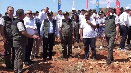 Büyük yangın sonrası Manavgat'ta dikilen 3,5 milyon fidan yeşerdi