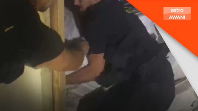 Polis Itali rampas 5.3 tan kokain, tahan lima individu