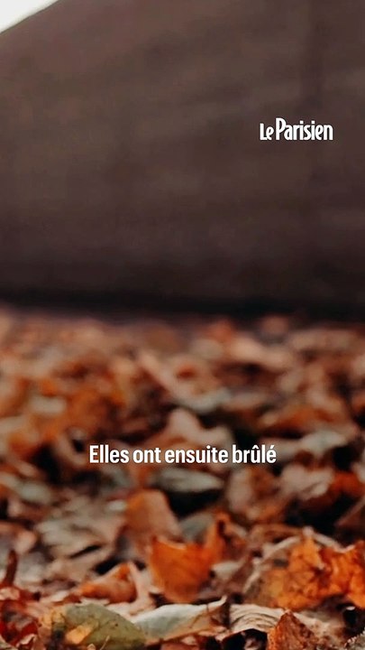 États-Unis : condamnée à trois mois de prison pour avoir avorté illégalement et brûlé son foetus