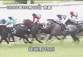 名馬の肖像II #22 最強のライバル伝説 メイショウドトウ