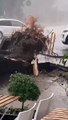 Maltempo, violenta grandinata a Monza: in via San Gottardo cade un albero