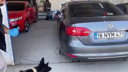 Le chien narcotique a réagi, 6 kilos et demi de drogue ont été retrouvés dans le sac