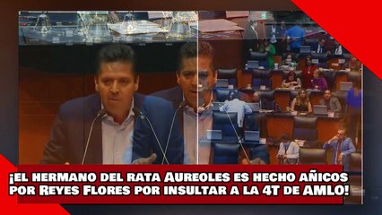 ¡VEAN! ¡el hermano del rata Aureoles es hecho añicos por Reyes Flores por insultar a la 4T de AMLO!