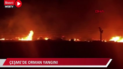 Çeşme'de orman yangını